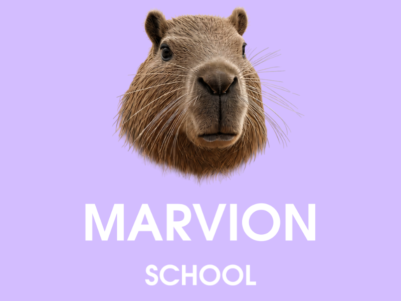 ❗️🇩🇪Безкоштовне заняття німецької мови у Marvion School🦫🤎